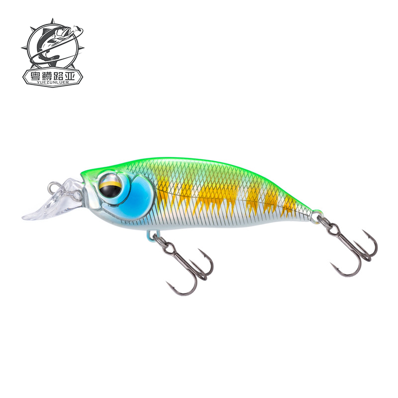 1 Stuks Japanse Ontwerp Peche  - Fishing Lure Jerkbait recensie en prijs
